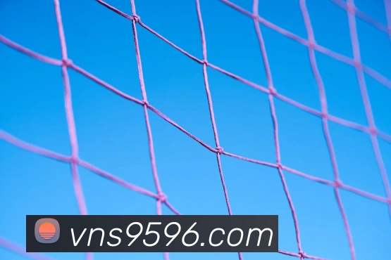 威尼斯娱乐平台平台生态图